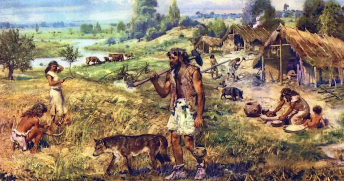 neolithic revolution domestication of animals