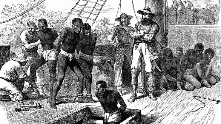 The second stage of the Triangular Trade, The Middle Passage, involved shipping the slaves to the Americas. The third, and final, stage of the Triangular Trade involved the return to Europe with the produce from the slave-labor plantations: cotton, sugar, tobacco, molasses and rum.